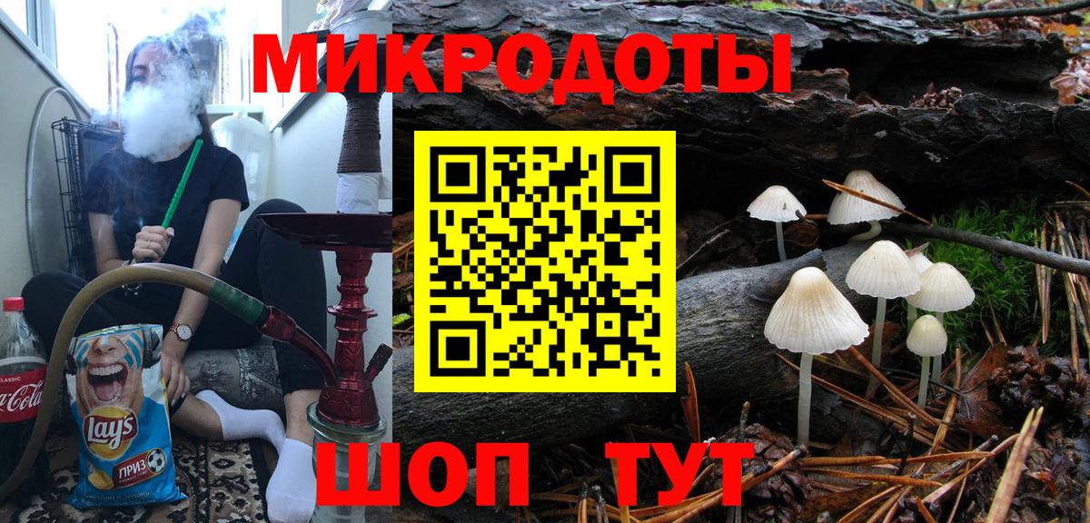 Псилоцибиновые грибы Psilocybine cubensis Ржев