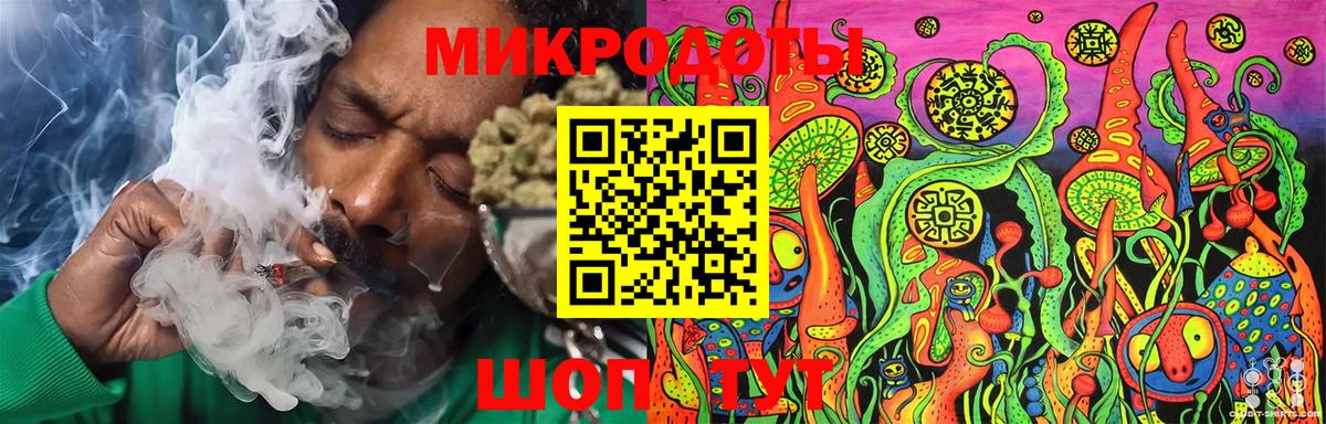 Ржев  Галлюциногенные грибы Psilocybe  Вход с VPN 